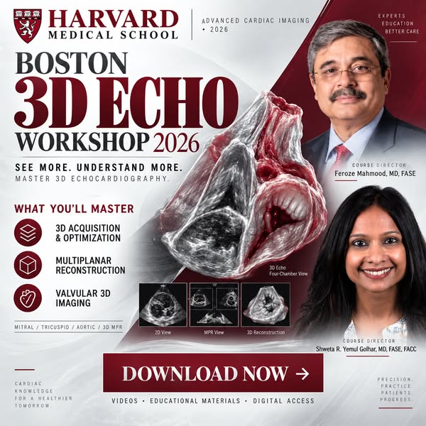 Harvard Boston 3D Echo Workshop 2026