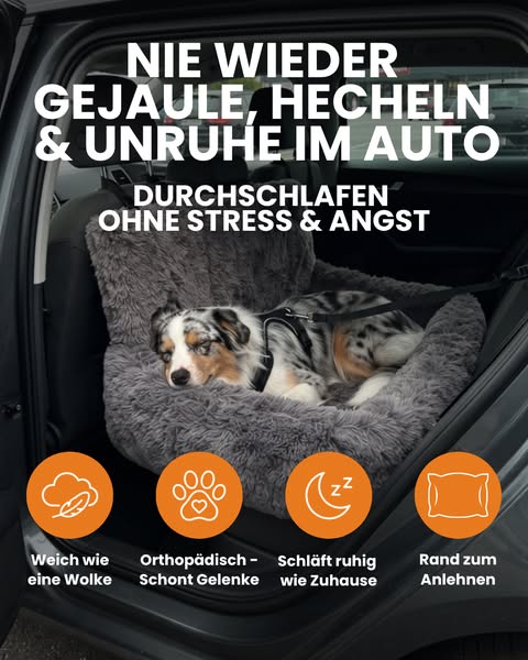 Ruhig, kuschelig & sicher angeschnallt