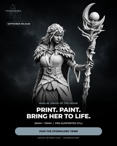 Print. Paint. Bring Maelin to life.