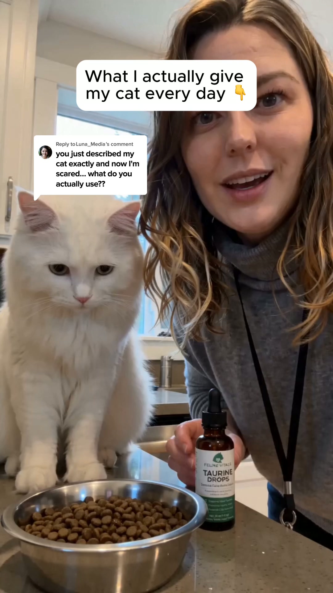 Every Test Came Back Normal. My Cat Was Dying Anyway.