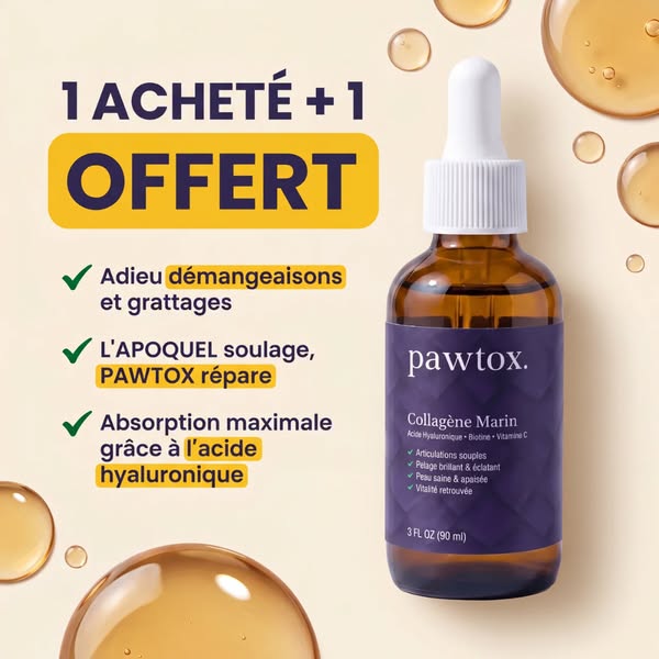 Verse à ton toutou un vrai soutien articulaire