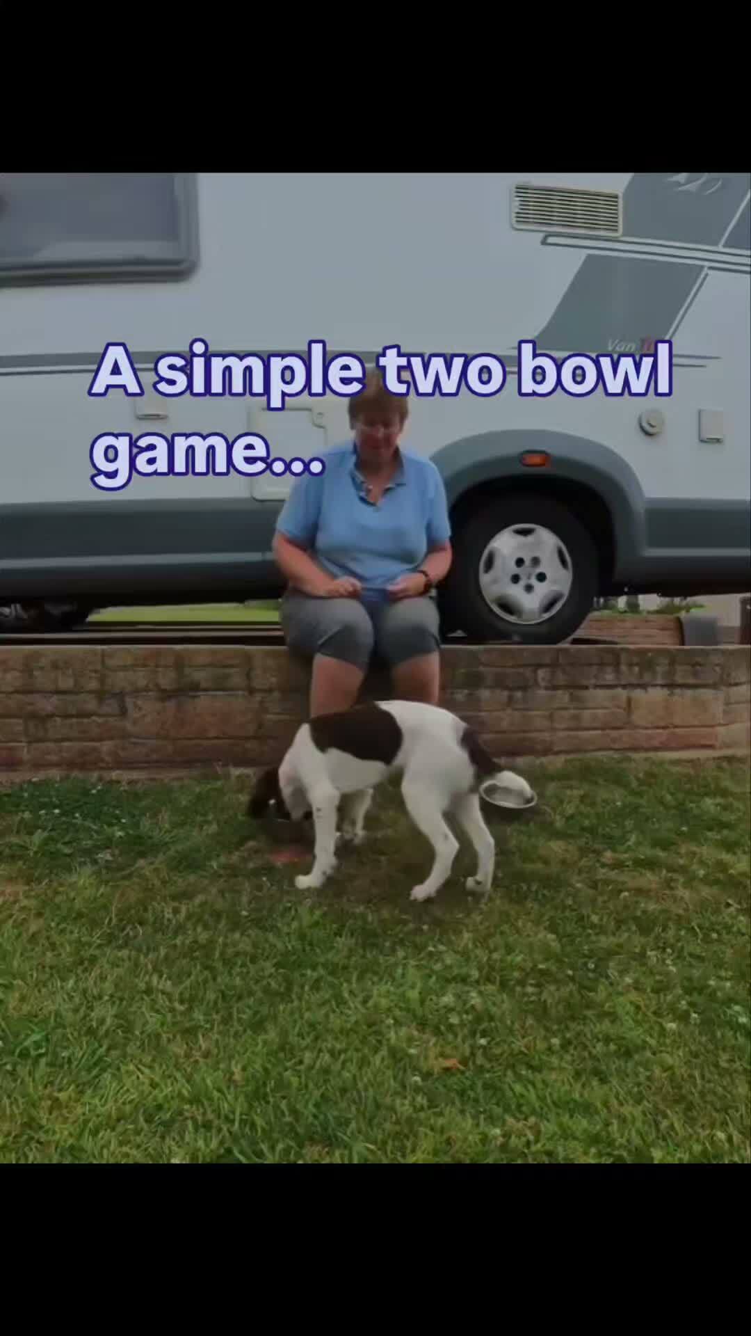 The skill every agility handler needs but nobody practises on course