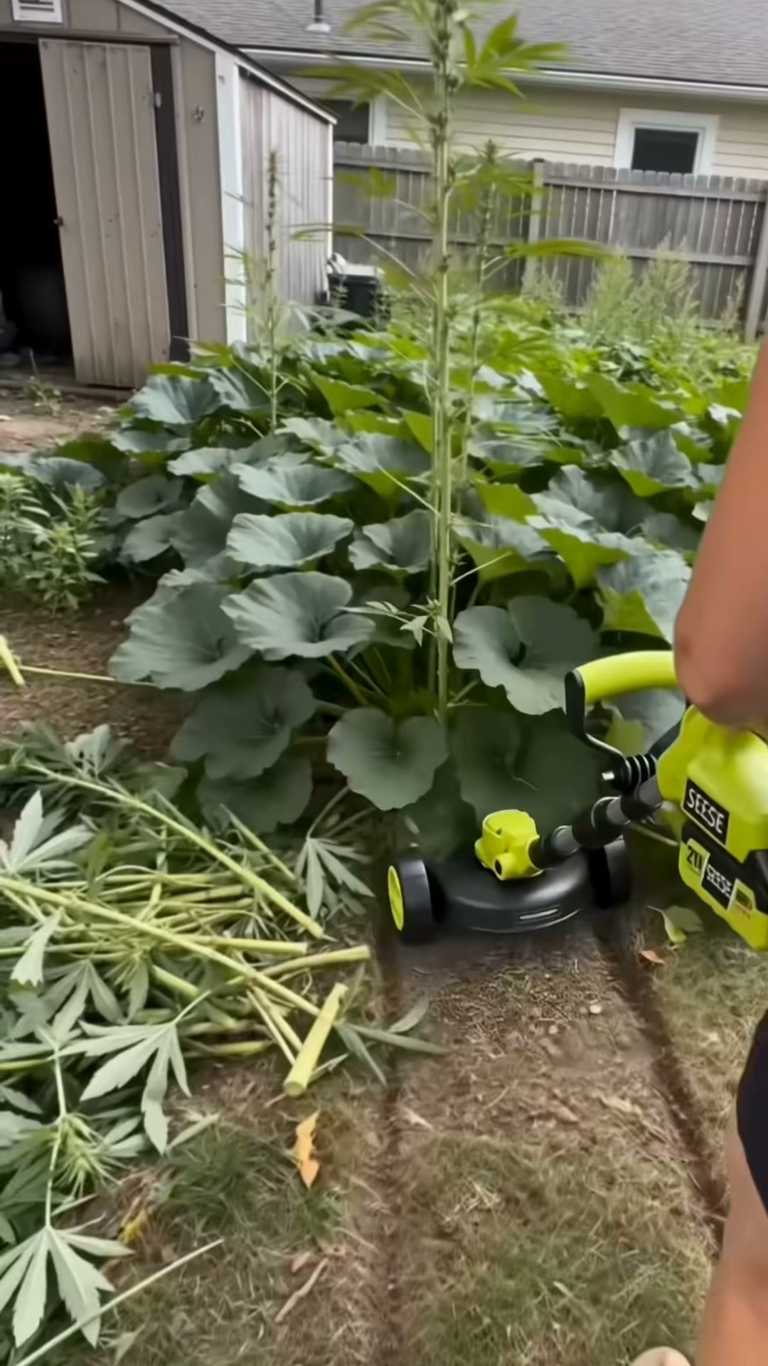 15000 RPM. 500W. 9‑inch cut. This trimmer doesn’t slow down in thick grass