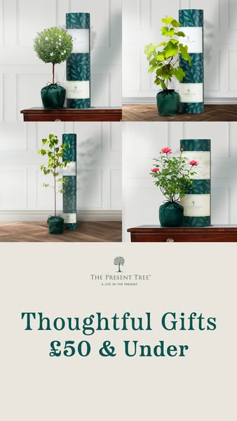 Beautifully Wrapped Tree Gifts