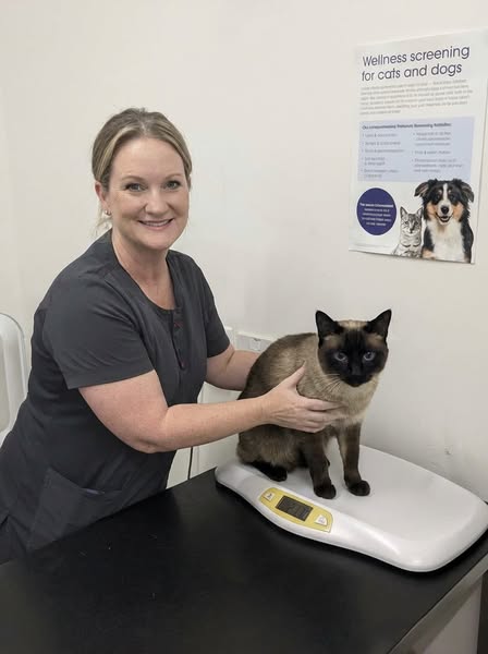 Shelter Vet Speaks The Truth..