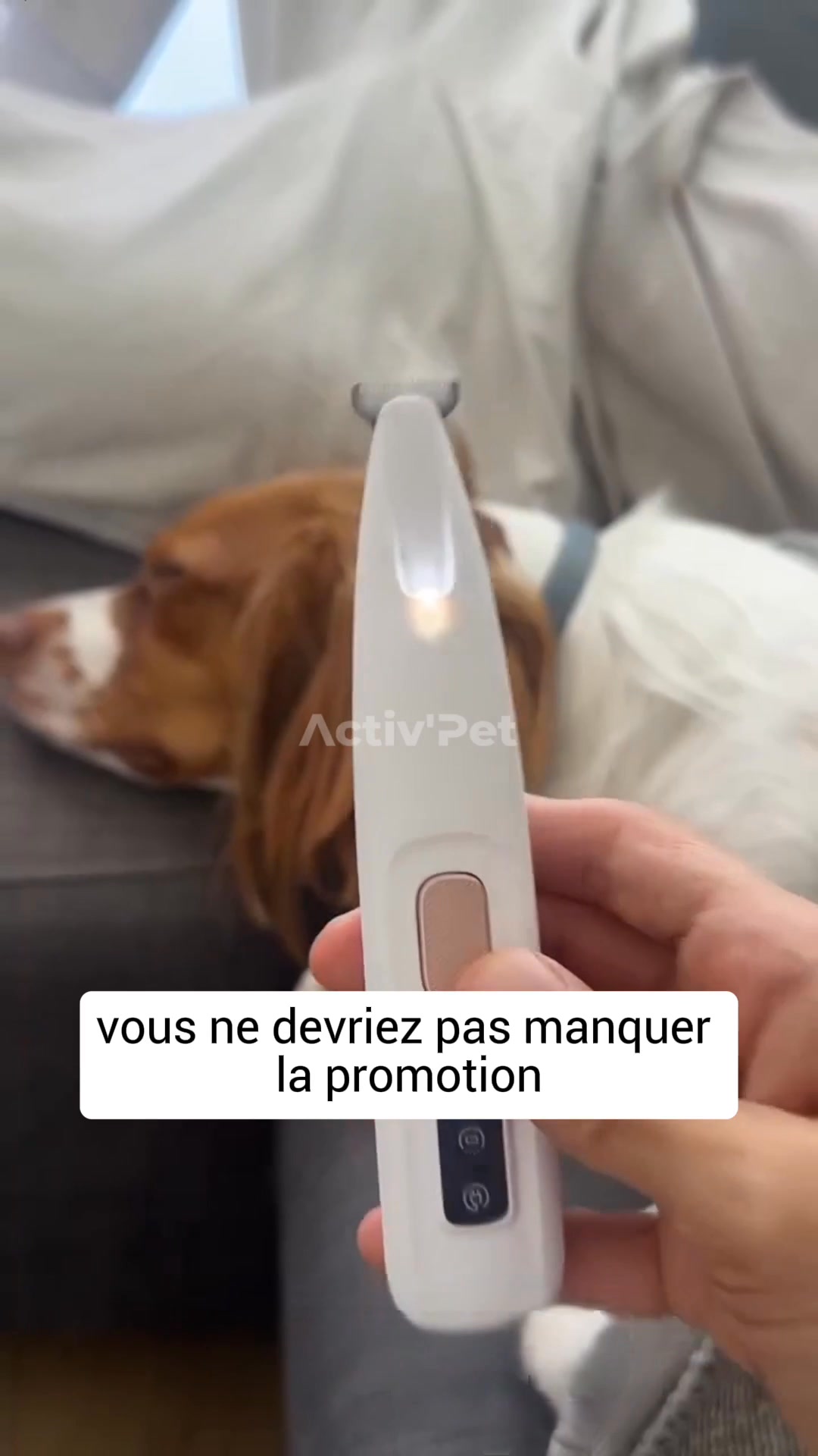 Recommandé par vétérinaires 20.000+ commandes