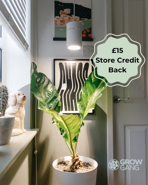 Snap two photos. Get £15 store credit.