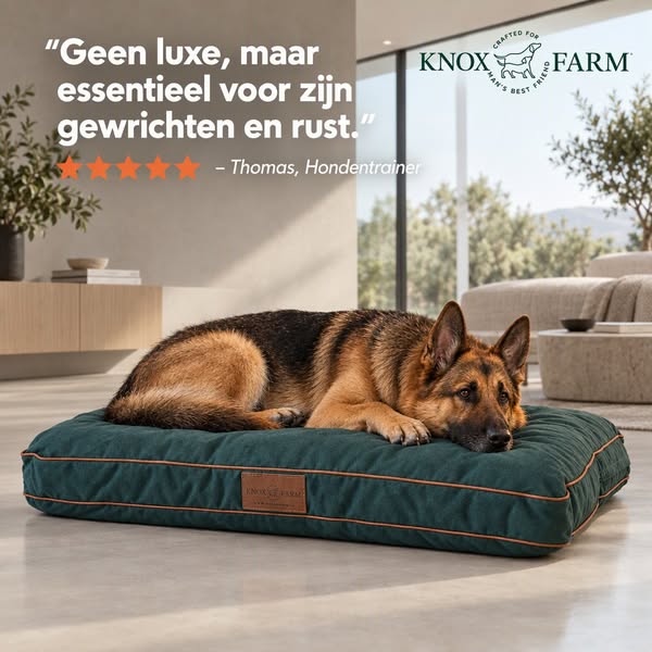 Orthopedisch hondenkussen