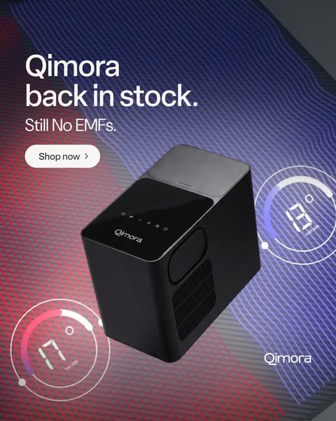 Qimora Is Back