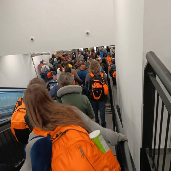 Read if Plane Seats Ruin Your Travel