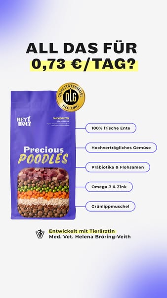 Speziell für Pudel & Doodles