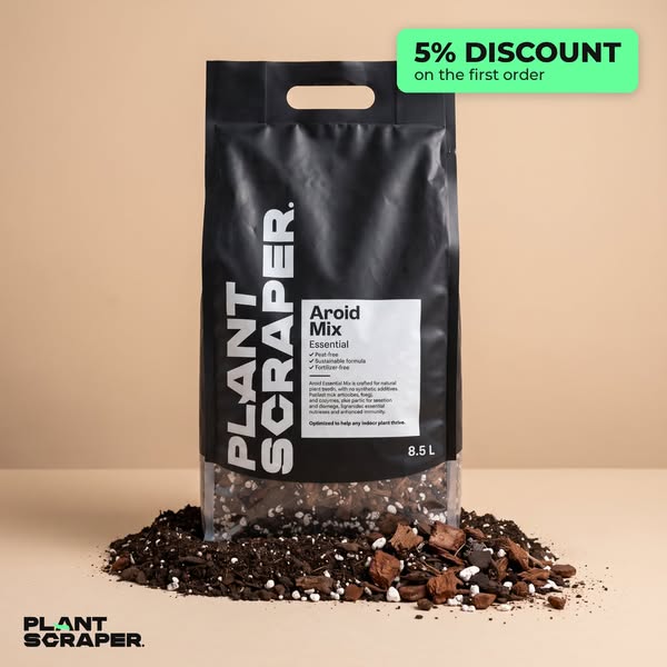 The essential substrate for your aroids