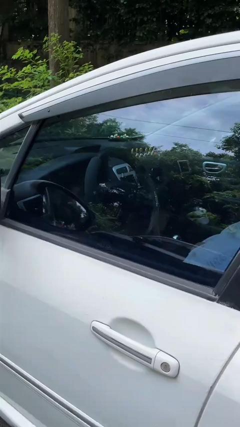 Car Registration & Insurance Card Holder