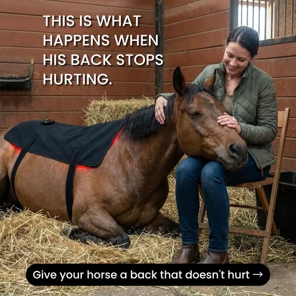 Your Horse's Back Has Been Hurting Longer Than You Think.