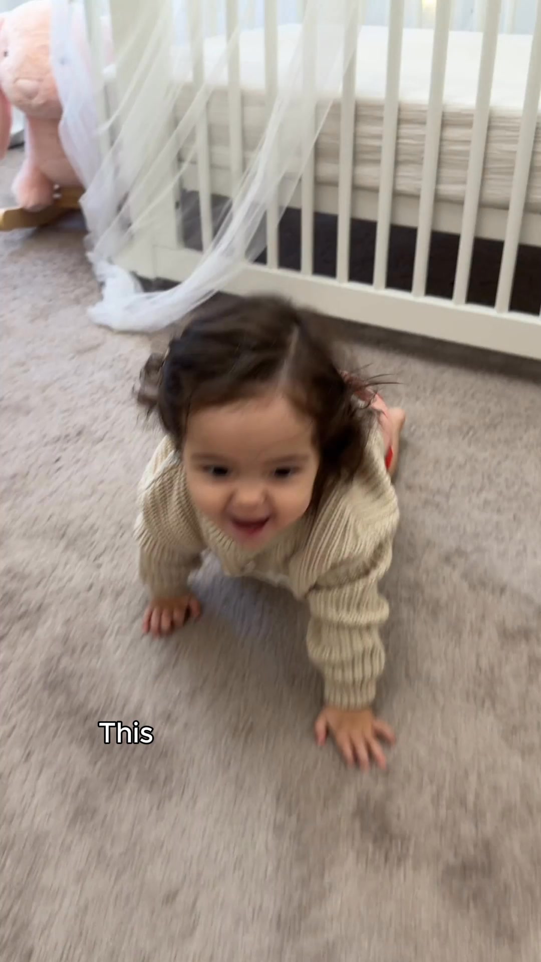 Potty Train in Weeks, Not Months