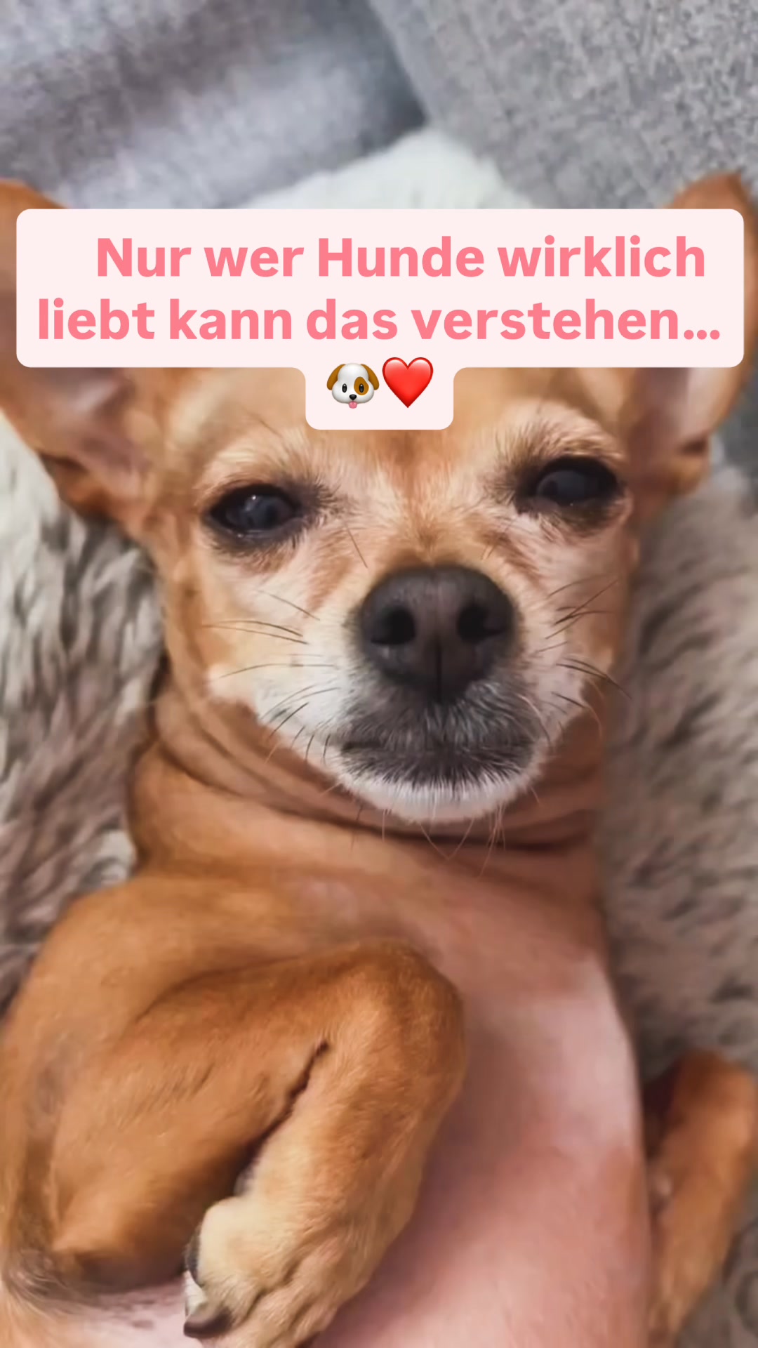 50 % Rabatt und versandkostenfrei