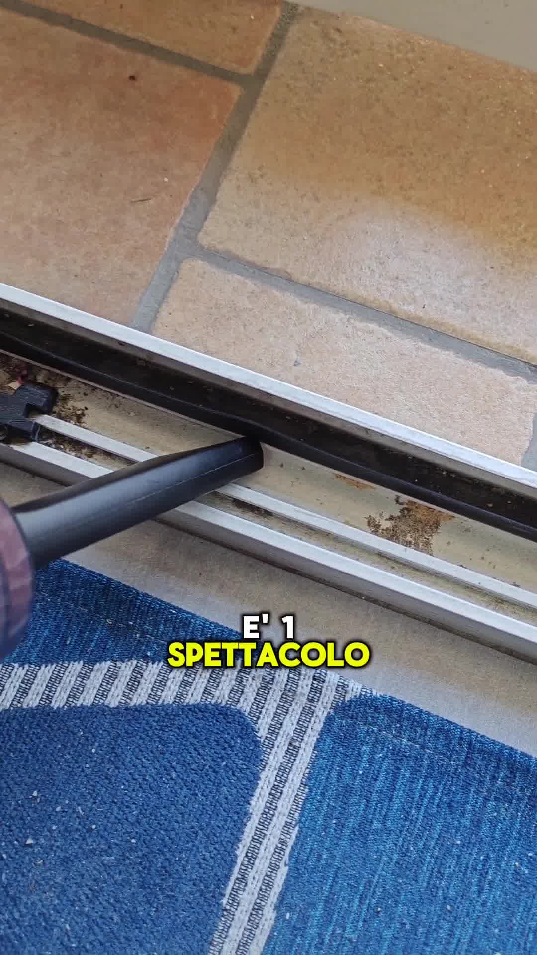 Professionale