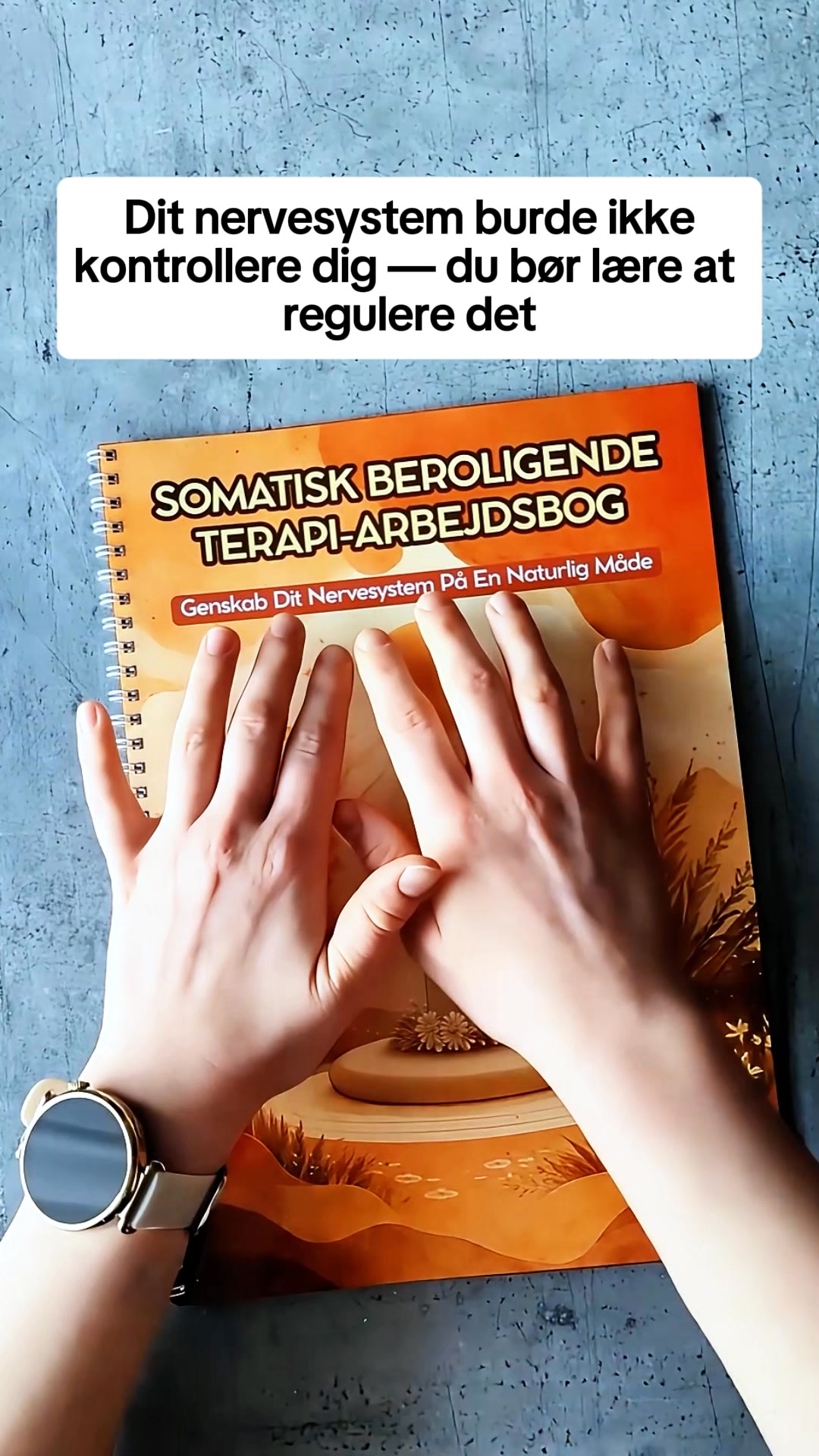 Workbook til Somatisk Terapi