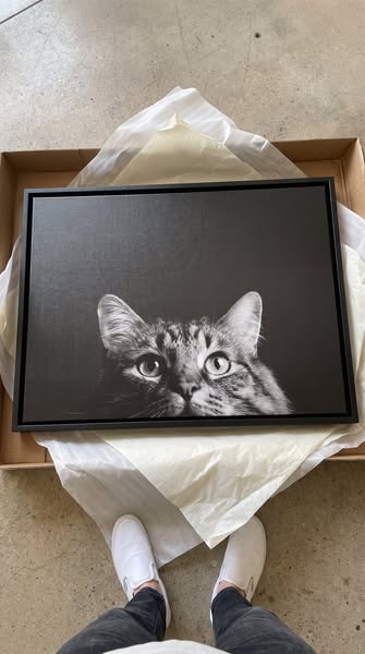 Preview For Free