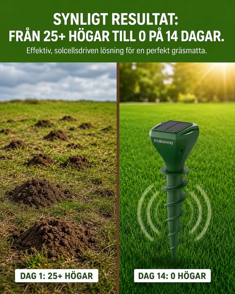 Inga fler jordhögar! GARANTERAT!