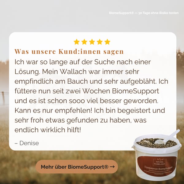 Jetzt den Unterschied entdecken