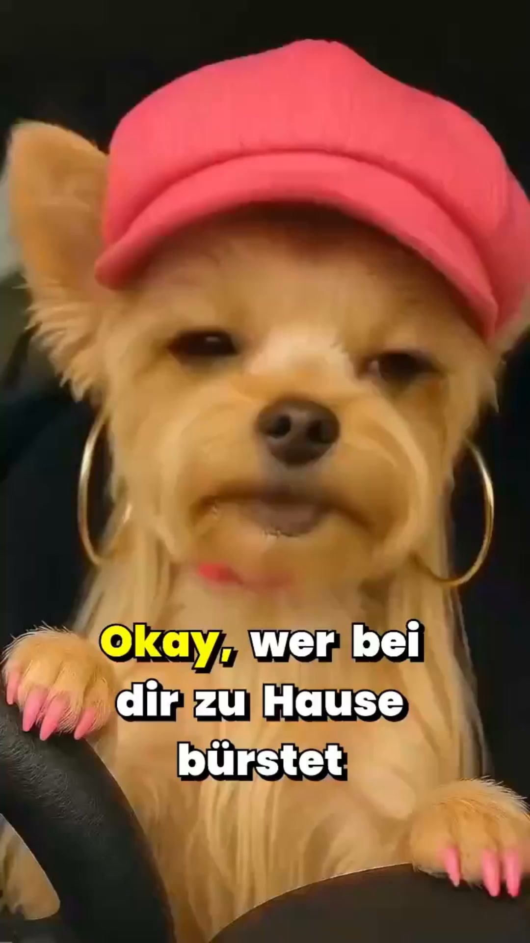 Nebelbürste™ | 50 % Rabatt