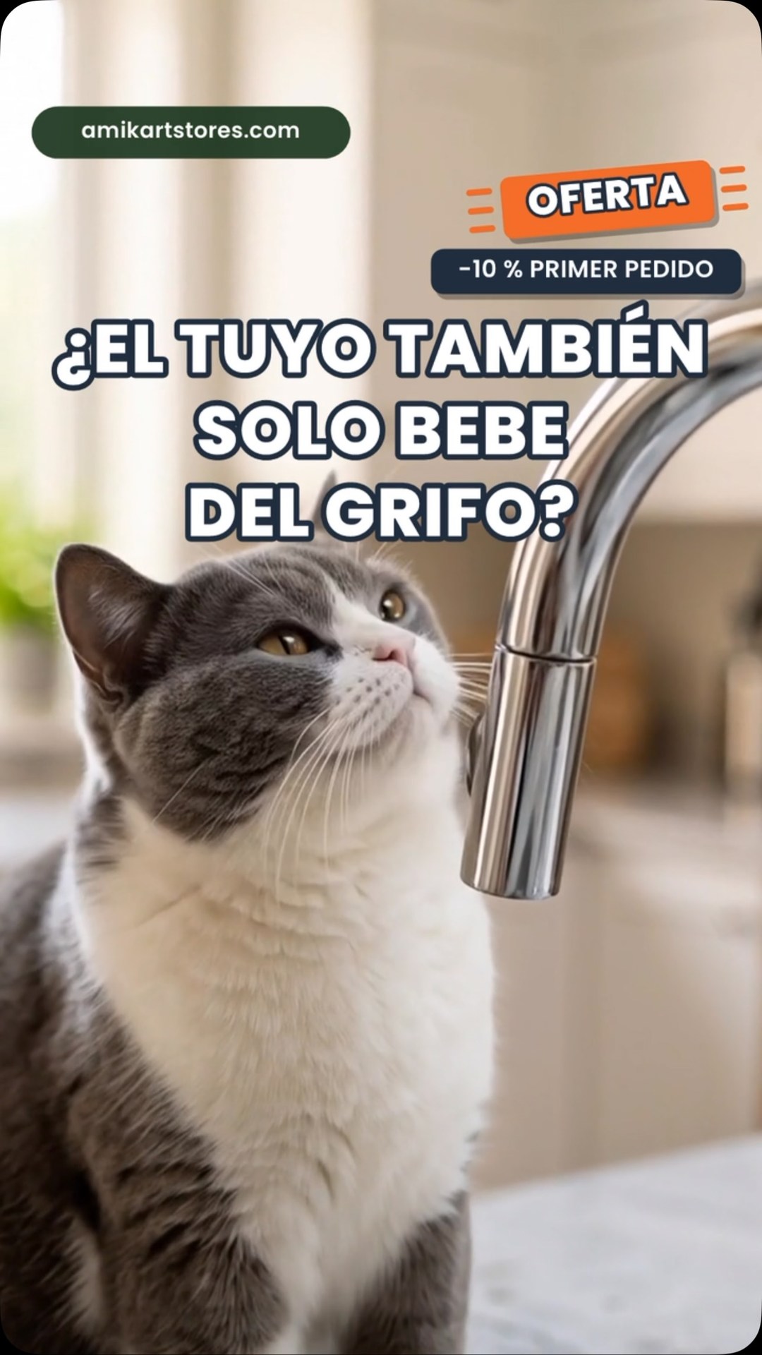 Anúncio de AMIKART