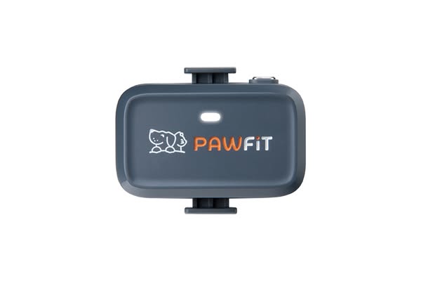 Pawfit Lite for dogs - charcoal grey