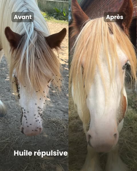Huile répulsive cheval - Note 4,9/5