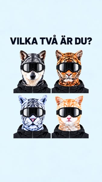 4.9/5 — Över 14 200 nöjda kunder