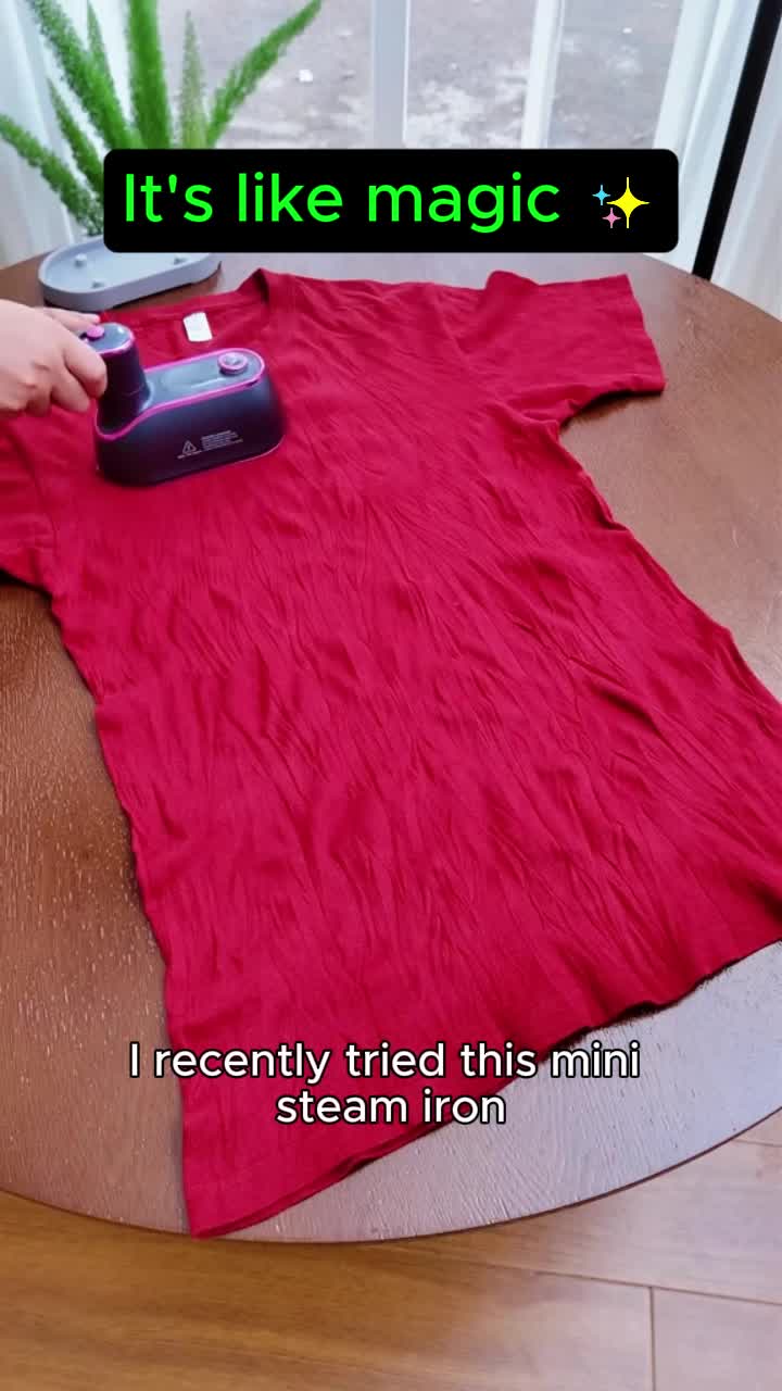 Mini Steam Iron