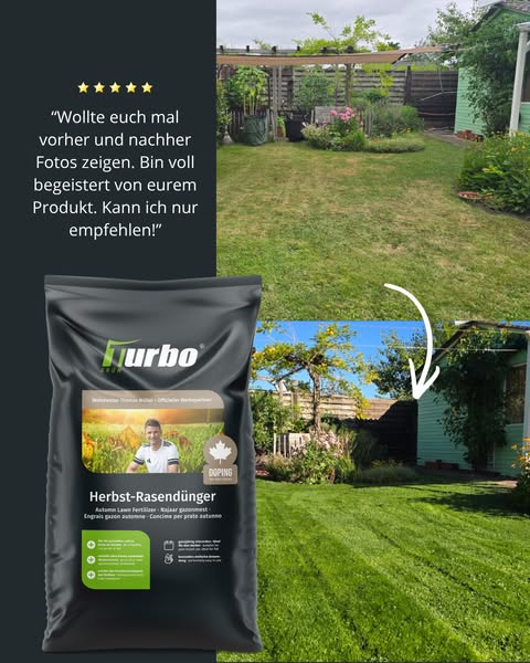 Rasen nach dem Sommer retten