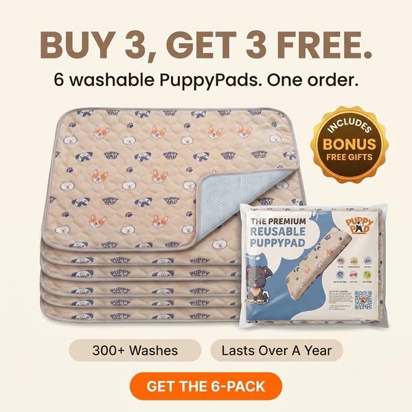 How We Potty Train Any Dog Instantly