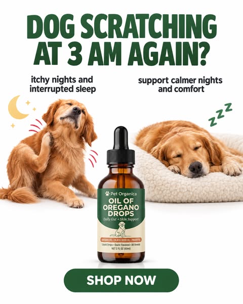 Natural Parasite Cleanse for Dogs