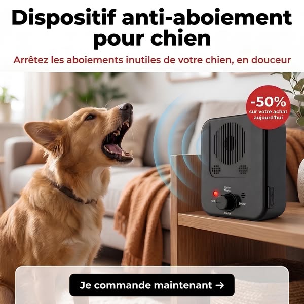 Dispositif anti-aboiement pour chien