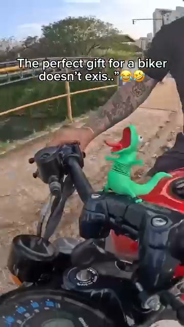 The Lizard RIDEBUDDY™