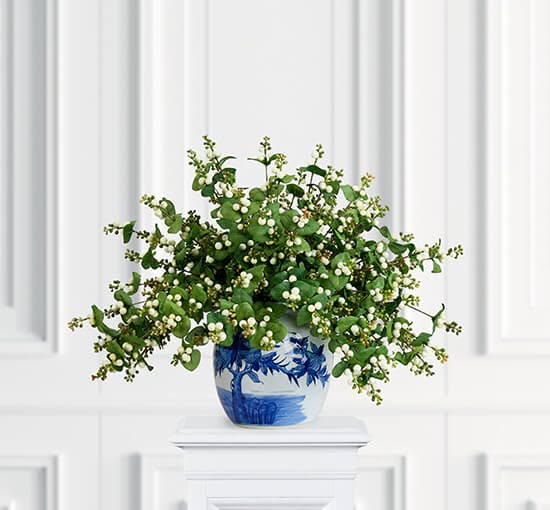 Snowberry Cut Flower White