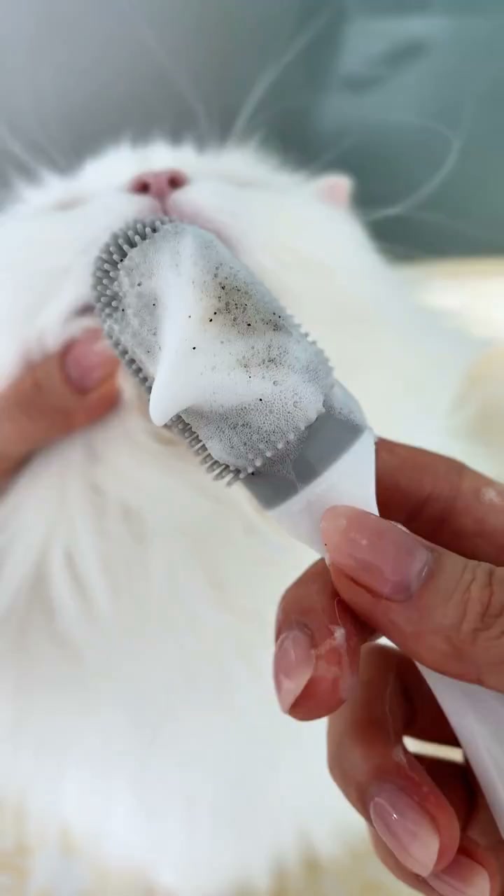 Black Specks on Your Cat’s Chin? Foam, Brush & Wipe Them Away—No Rinsing Needed