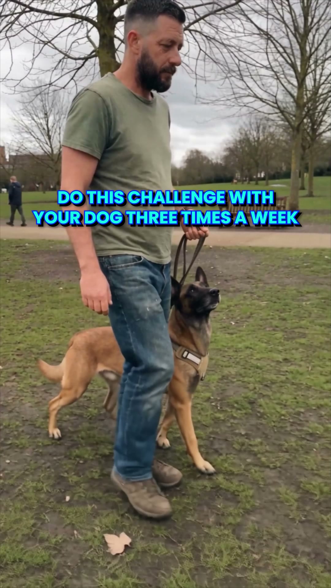 Take the K9 Training Challenge Now