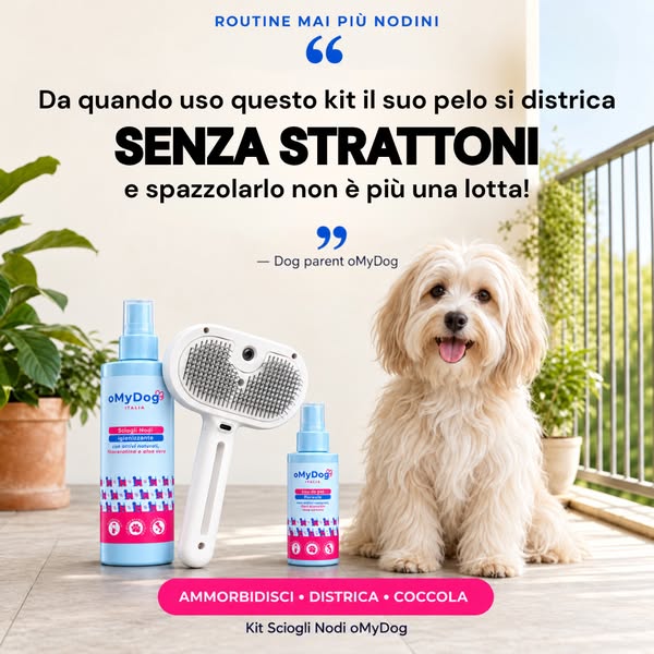 4,8/5 su 125 recensioni • Spedizione gratuita 24/48H