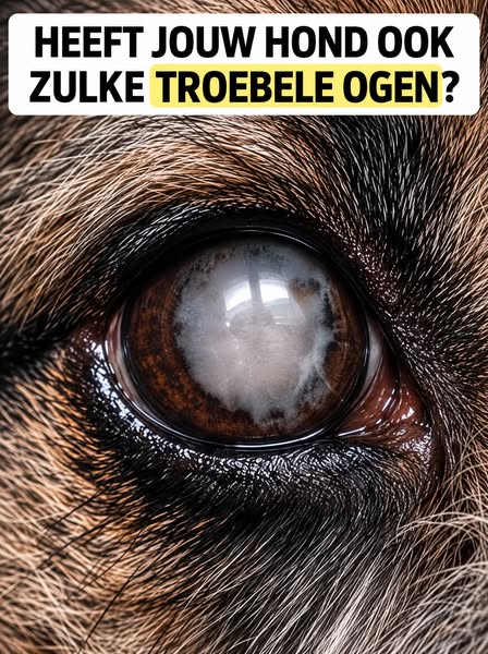 Je ziet het elke dag en hoopt dat het niet erger wordt.