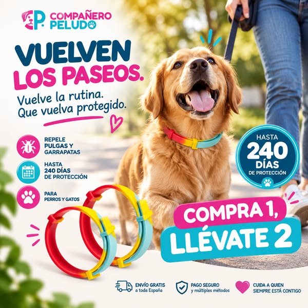 ¡Vuelven los paseos!