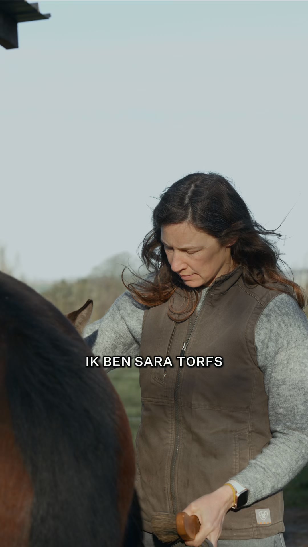 Alle essentiële voedingsstoffen om het ruwvoer dieet van je paard aan te vullen