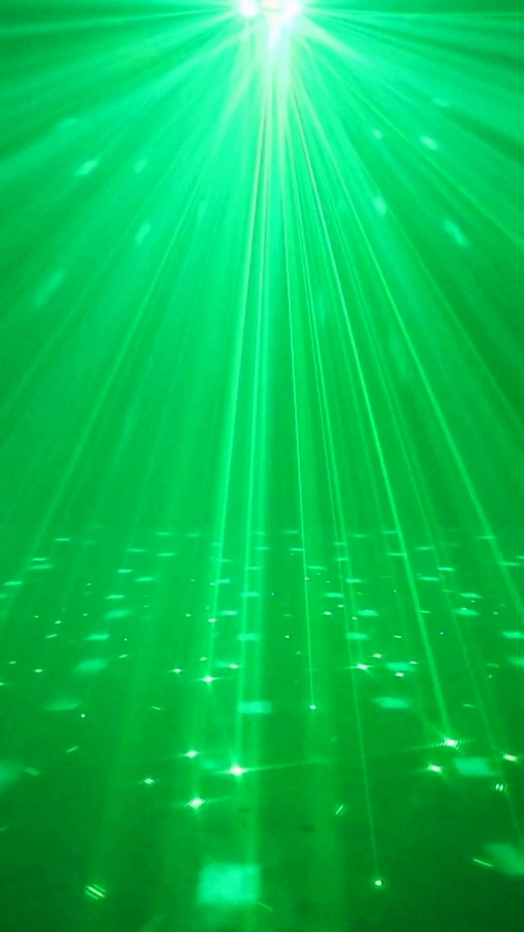 The Viral Party Light Everyone’s Obsessed With