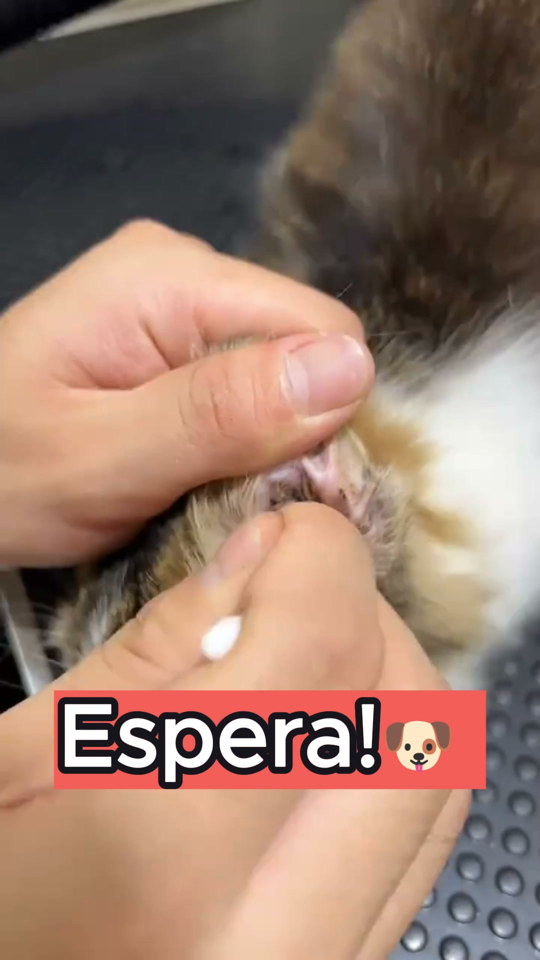 Pagamento na entrega