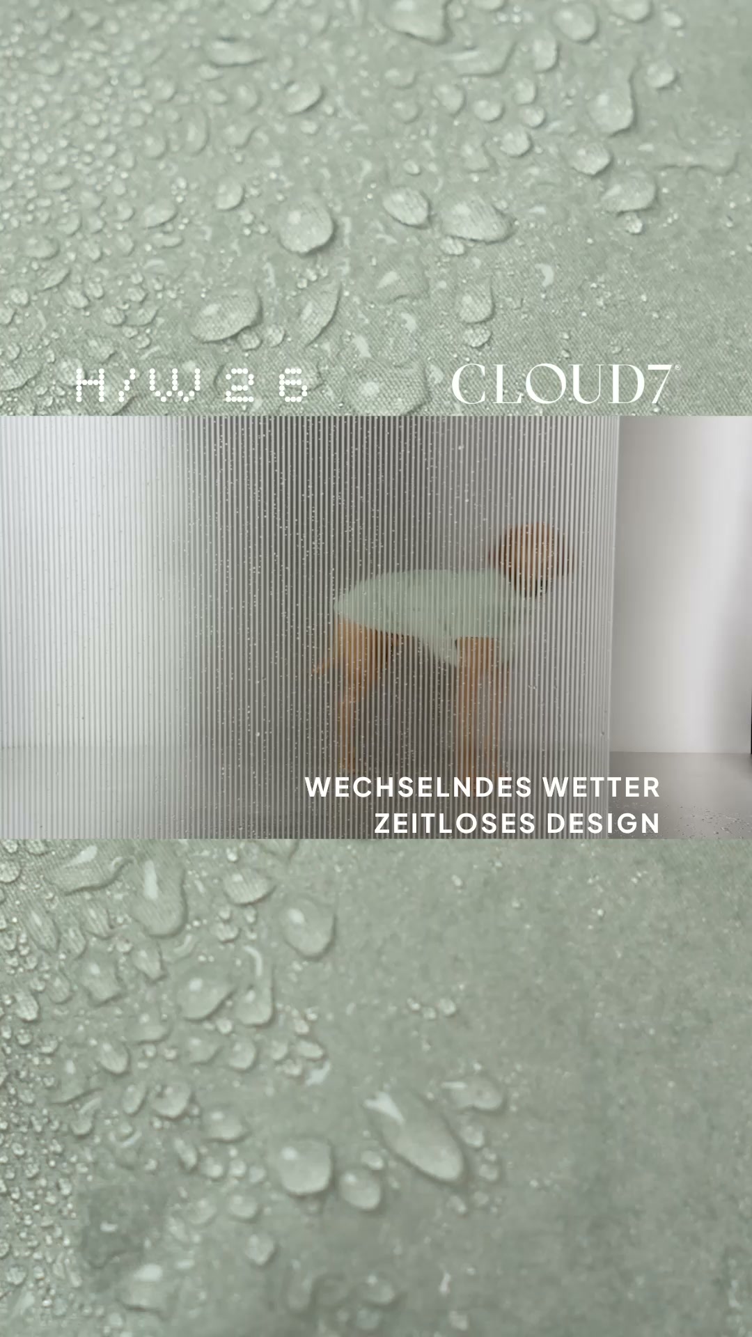 Wetterfest für jeden Hund