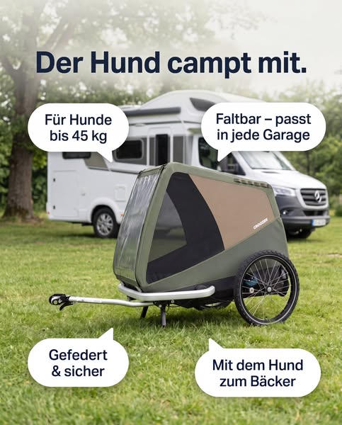 Der Hund campt mit.