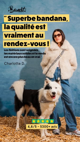 4,8/5 par plus de 5 300 chiens stylés