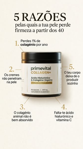 Envio Premium em 24/48h.