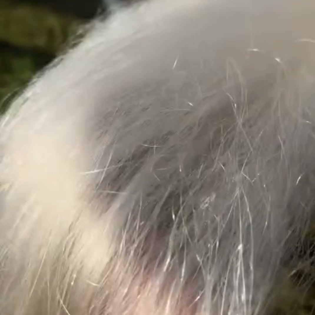 Bright White. Ridiculously Soft.